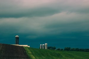 Meat Industry Sustainability Claims Exposed as Empty