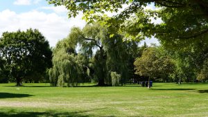 Restoring God’s Creation: A New Call for Wilderness